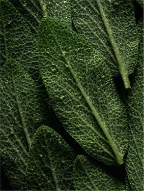 Keratin Volume Boost Conditioner