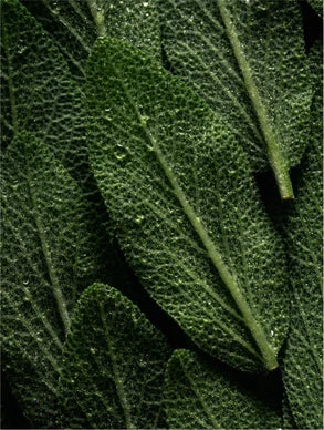 Shampoing volumisant à la kératine