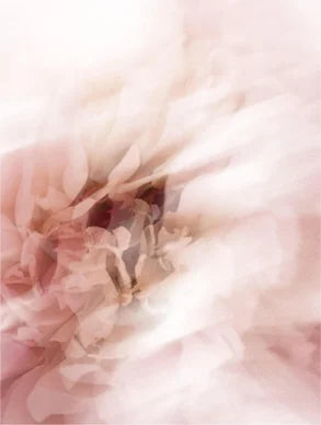 Stick de protection solaire SPF50, teinté