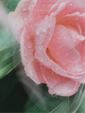 Mineral Sunscreen SPF30 for Face & Body